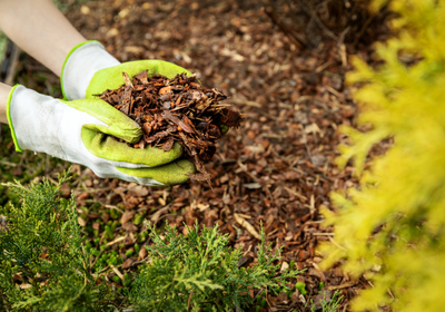 Ecogarden Cura del Verde corteccia aiuole