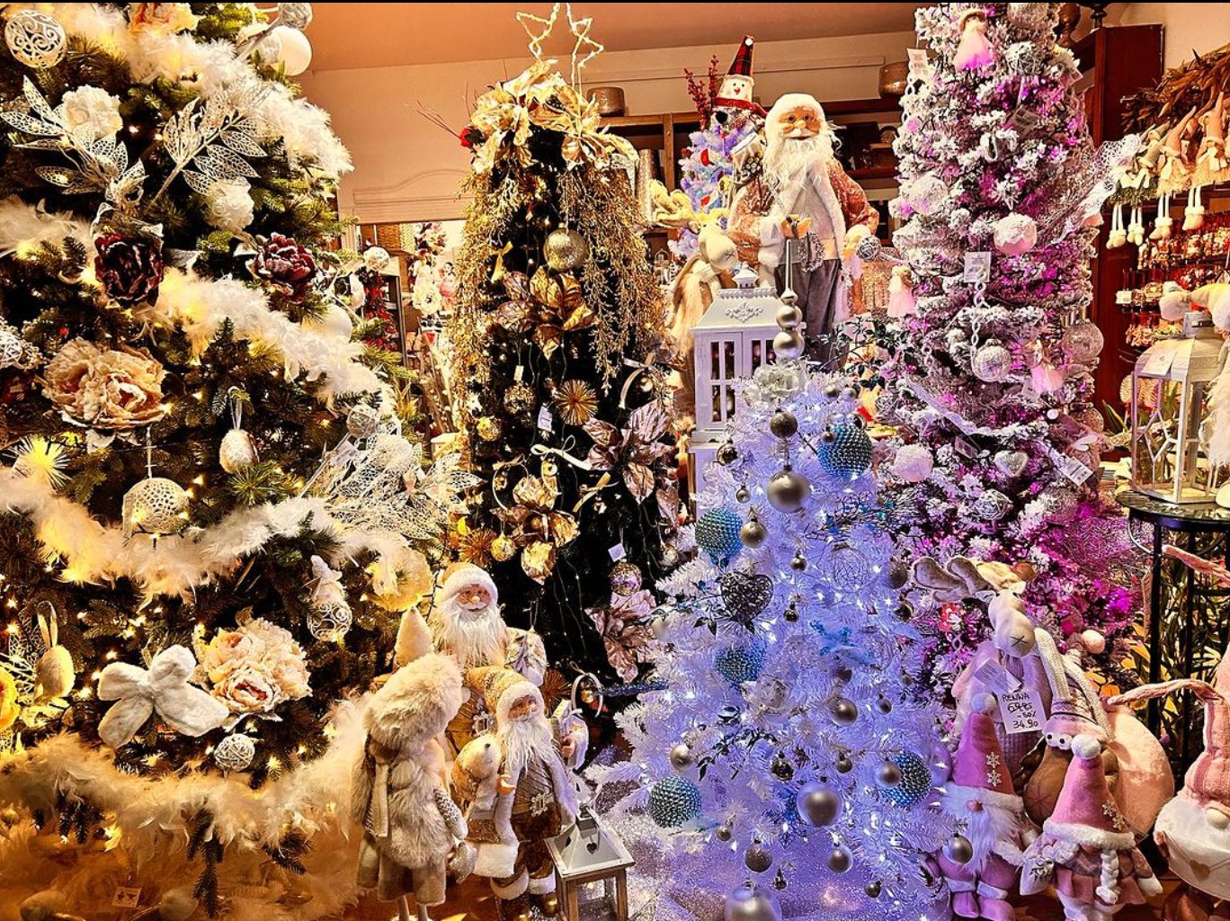 Ecogarden Mathi Torino Chieri Natale decorazioni natalizie